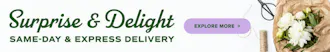 Surprise & Delight: Same-Day & Express Delivery