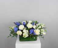 Sapphire Snowfall