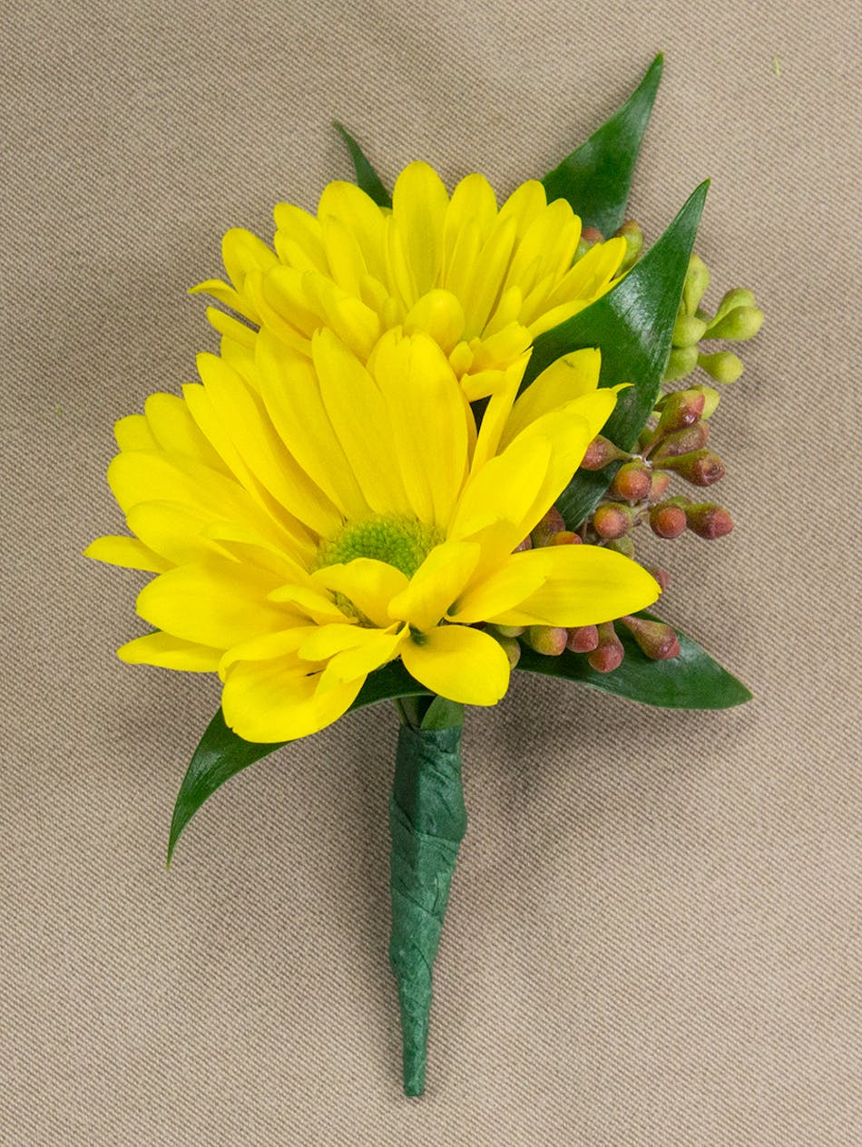 Yellow Daisy Boutonniere - Radebaugh FLorist and Greenhouses ...