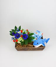 Baby Shark Gift Crate