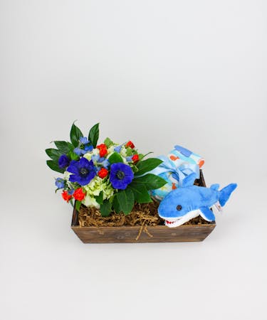 Baby Shark Gift Crate