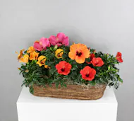 Tropical Breeze - Hibiscus Canoe Basket
