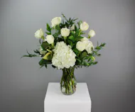 One Dozen Premium White Roses with White Hydrangea