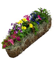 Canoe Basket with Assorted Annuals
