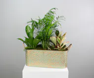 Copper Canopy - Assorted Green Plants in a Copper Pot