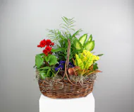 Green and Blooming Country Basket