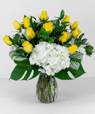 One Dozen Yellow Roses with Hydrangea
