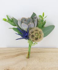 Succulent & Blue Thistle Boutonniere