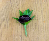 Burgundy Ranunculus Boutonniere