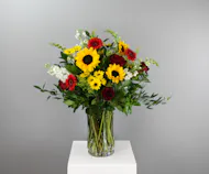Black-Eyed Susan