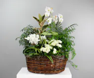 Garden Whisper Basket