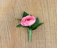 Peach Ranunculus Boutonniere