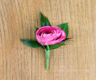 Light Pink Ranunculus Boutonniere