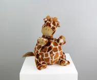 Ginger The Giraffe