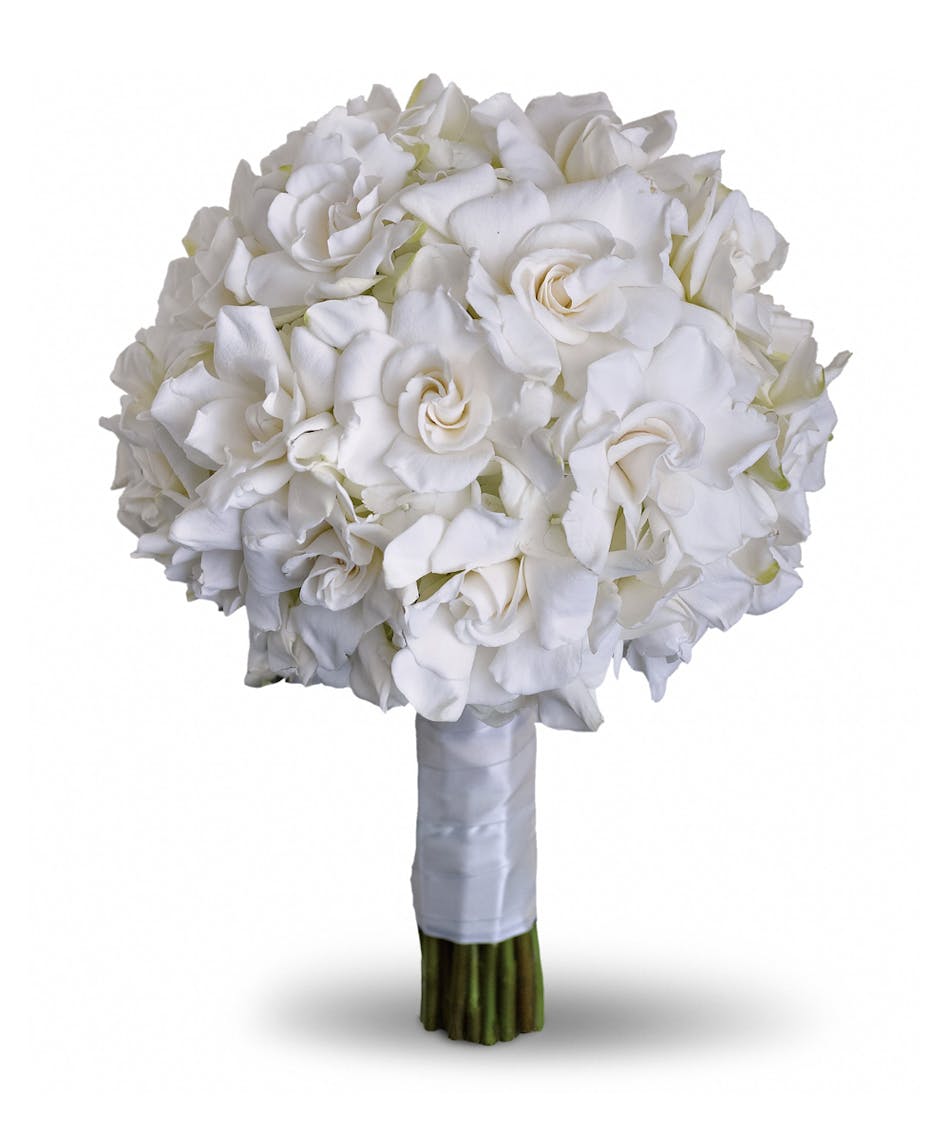 Gardenia Flower Delivery | gardenia and grace bouquet beloved for their enchanting fragrance Gardenia Flower Delivery | gardenia and grace bouquet beloved for their enchanting fragrance