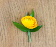 Yellow Ranunculus Boutonniere