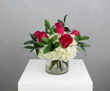 Half dozen roses with white hydrangea is a classic floral arrangement featuring a half dozen roses artfully arranged in a 5x5 clear glass cylinder vase