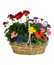 All Blooming Seasonal Country Basket