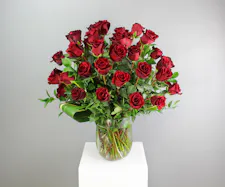 Truly, Madly, Deeply - Four Dozen Premium Red Roses