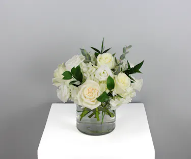 Soft, serene, and beautifully simple — Clouds of White captures the quiet elegance of winter.