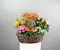 The "Country Blooms Basket" is a charming ensemble of all blooming indoor plants, thoughtfully arranged in a rustic country-style basket.