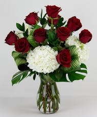 One Dozen Premium Red Roses with White Hydrangea