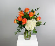 One Dozen Premium Free Spirit Roses with White Hydrangea