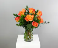 One Dozen Premium Free Spirit Roses