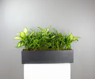 Slate Planter