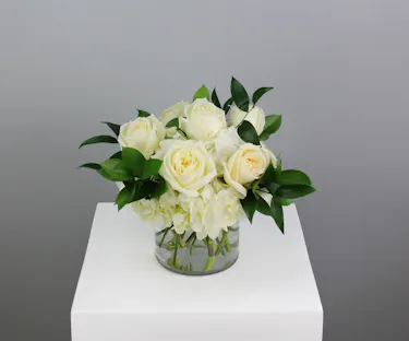 Half dozen roses with white hydrangea is a classic floral arrangement featuring a half dozen roses artfully arranged in a 5x5 clear glass cylinder vase