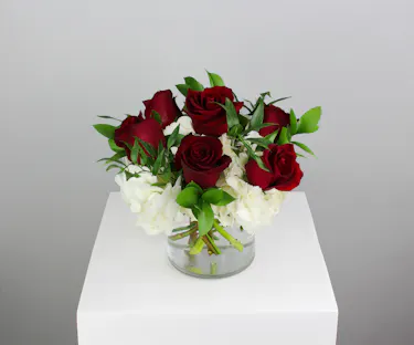 Half dozen roses with white hydrangea is a classic floral arrangement featuring a half dozen roses artfully arranged in a 5x5 clear glass cylinder vase