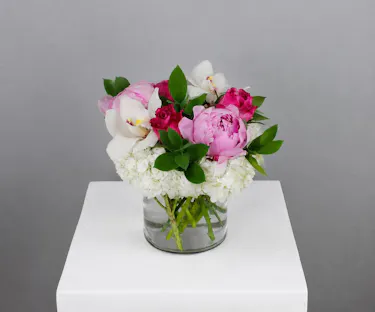 Peony Poetry