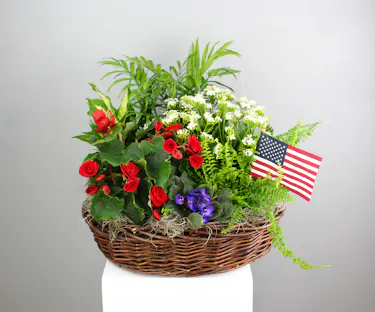Patriotic Blooms - Large Basket of Red, White, & Blue Plants