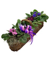 Canoe Basket with African Violets