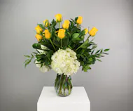 One Dozen Yellow Roses with Hydrangea