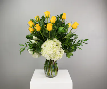 Brighten any occasion with our delightful floral arrangement featuring 1 dozen vibrant yellow roses paired with soft white hydrangea.