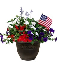 Combo Tub with Red, White and Blue Annuals