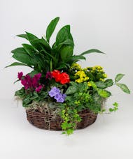 Green and Blooming Country Basket