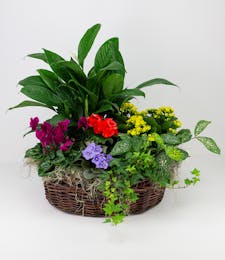 Green and Blooming Country Basket