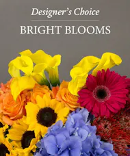Designer's Choice - Bright