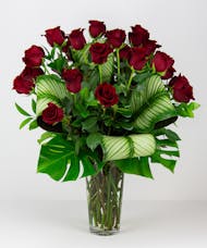 Rose Opulence- Two Dozen Premium Red Roses