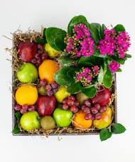Fruit & Blooms Crate