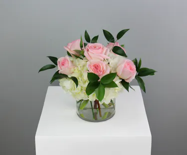 Half dozen roses with white hydrangea is a classic floral arrangement featuring a half dozen roses artfully arranged in a 5x5 clear glass cylinder vase