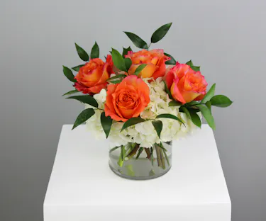 Half dozen roses with white hydrangea is a classic floral arrangement featuring a half dozen roses artfully arranged in a 5x5 clear glass cylinder vase