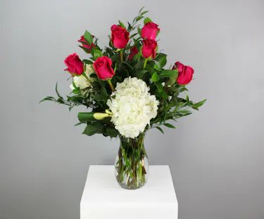 One Dozen Hot Pink Roses with Hydrangea