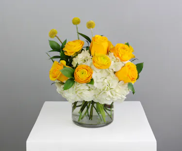 Roses, Full Bloom Hydrangea, Craspedia, Billy Balls