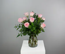 One Dozen Light Pink Roses