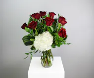 You Belong With Me - One Dozen Premium Red Roses with White Hydrangea
