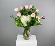 One Dozen Light Pink Roses with Hydrangea