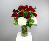 Endless Love - Two Dozen Premium Red Roses with Hydrangea